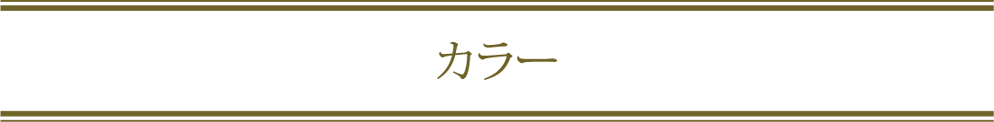 カラーメニュー画像