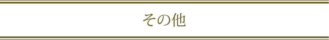 その他メニュー画像
