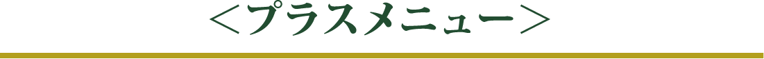 プラスメニュー